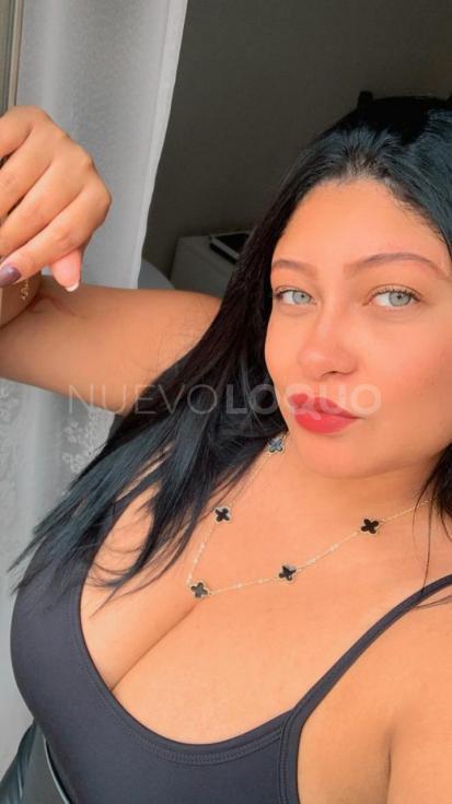 NuevoLoquo2