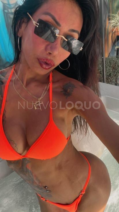 NuevoLoquo3