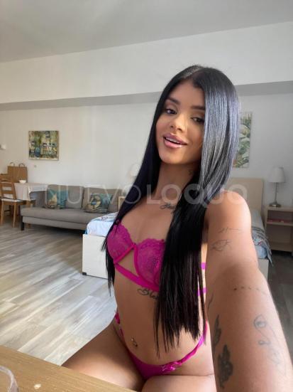 NuevoLoquo4