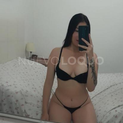NuevoLoquo3