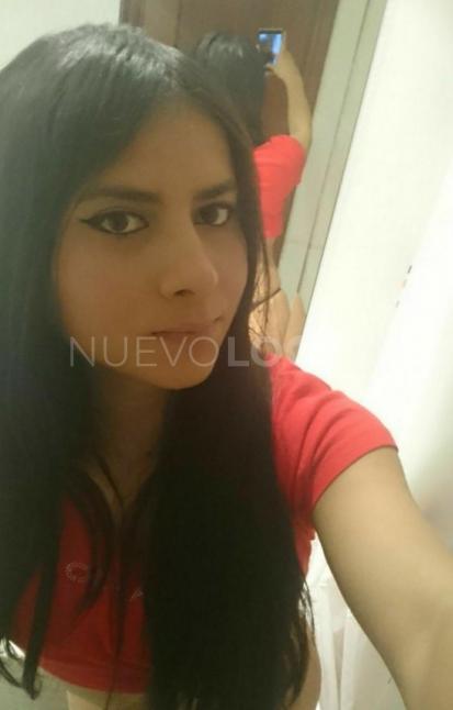 NuevoLoquo5