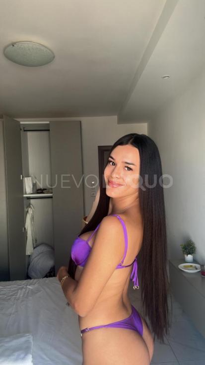 NuevoLoquo1