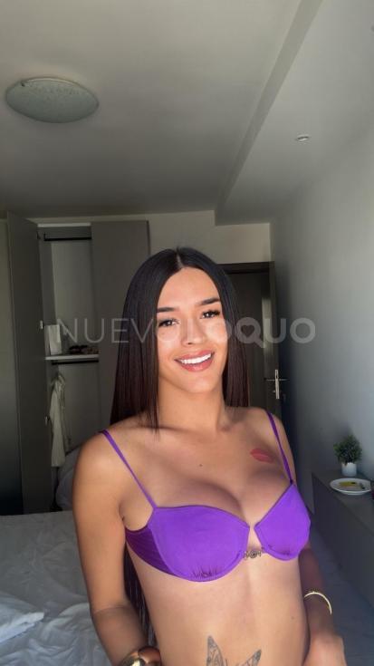 NuevoLoquo3
