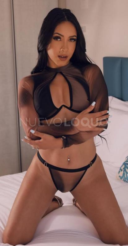 NuevoLoquo2