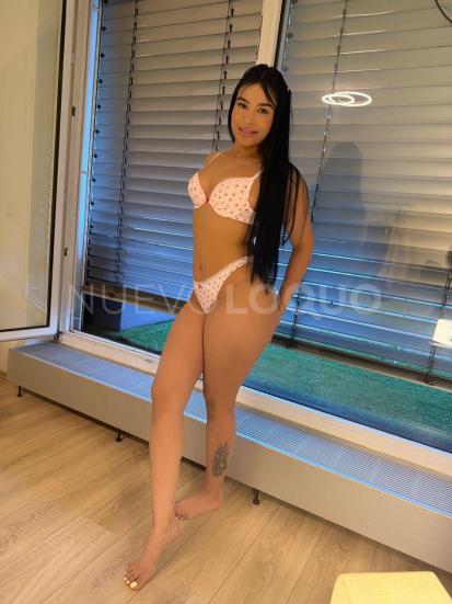 NuevoLoquo2