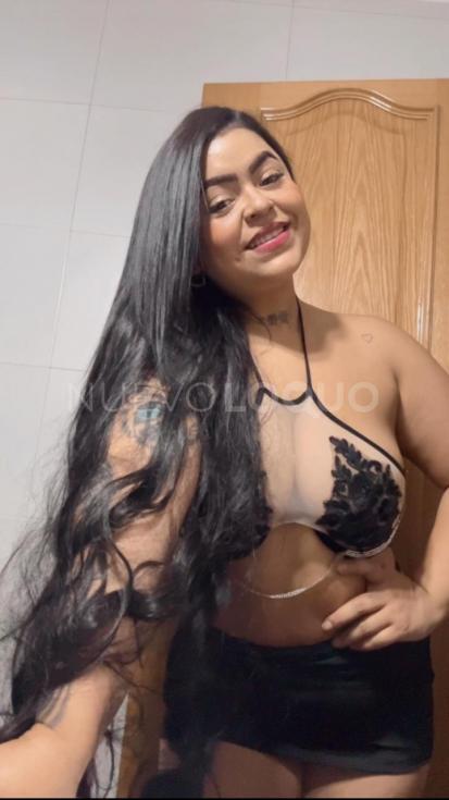 NuevoLoquo3
