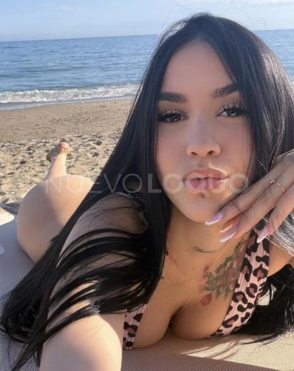NuevoLoquo3
