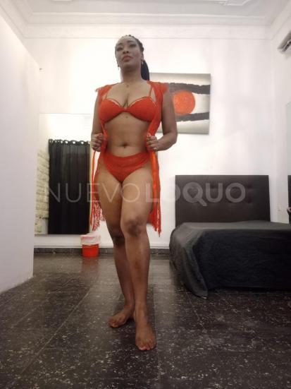 NuevoLoquo2