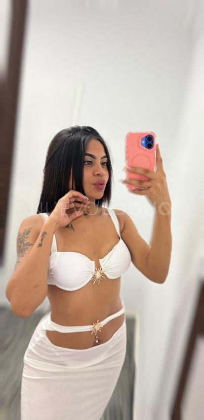 NuevoLoquo3