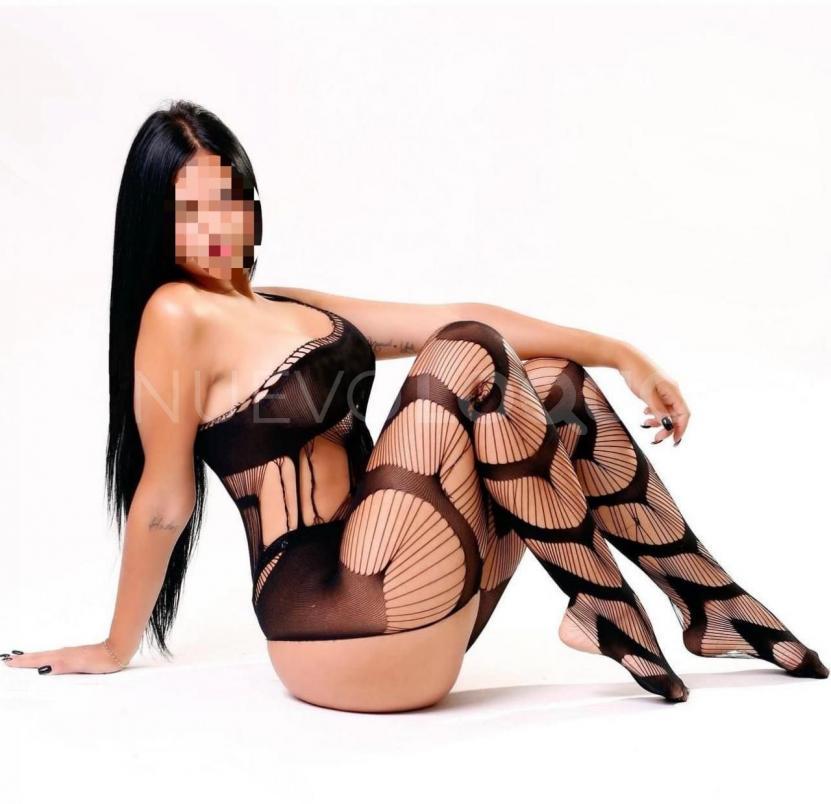 NuevoLoquo4