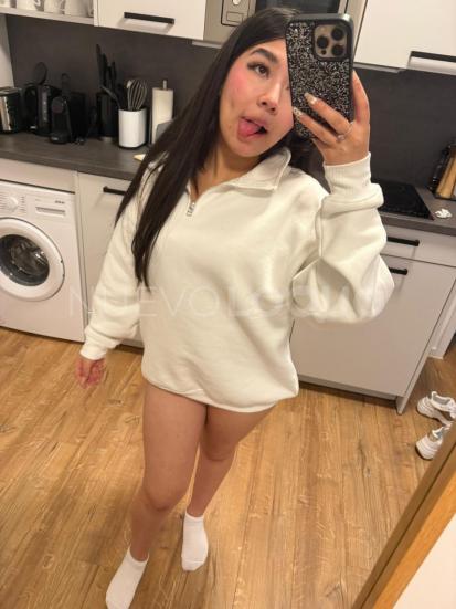 NuevoLoquo3
