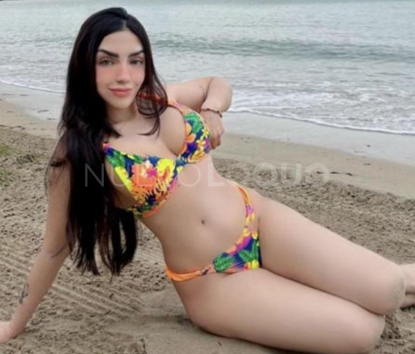 NuevoLoquo3