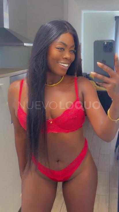 NuevoLoquo3