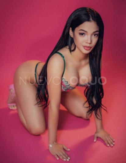 NuevoLoquo1