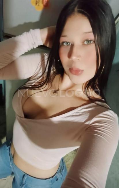 NuevoLoquo3
