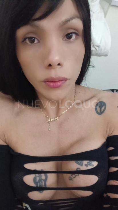NuevoLoquo0