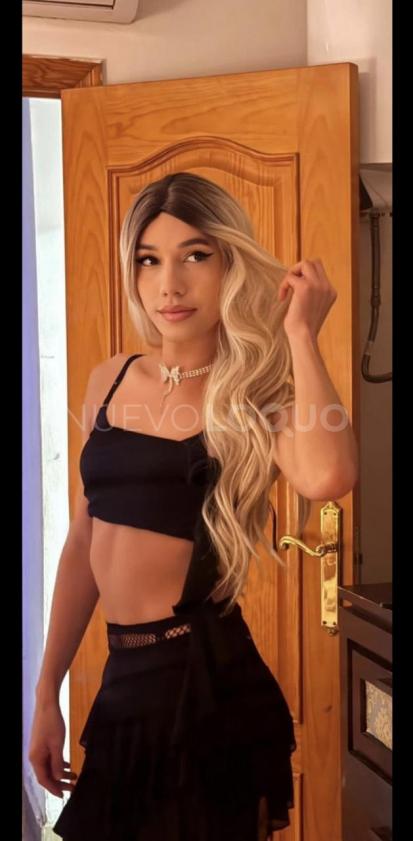 NuevoLoquo1