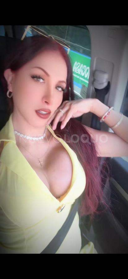 NuevoLoquo3