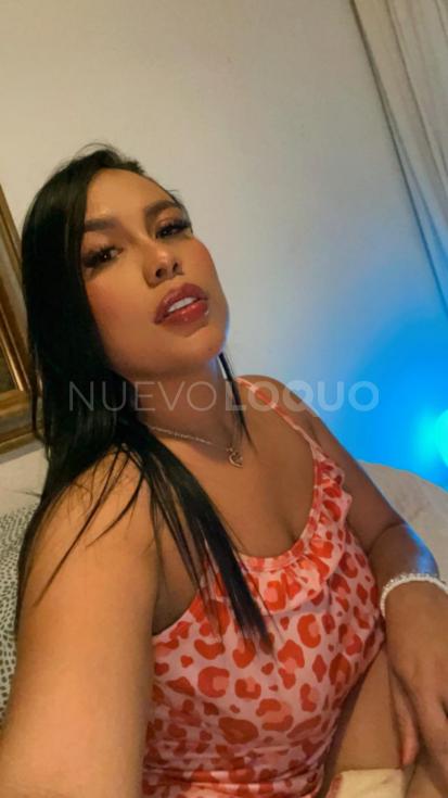 NuevoLoquo3