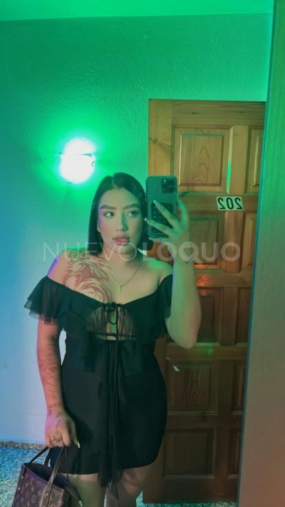 NuevoLoquo3