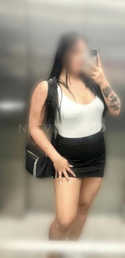 NuevoLoquo2