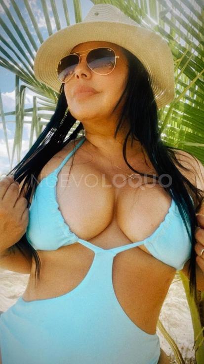 NuevoLoquo2