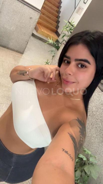 NuevoLoquo4