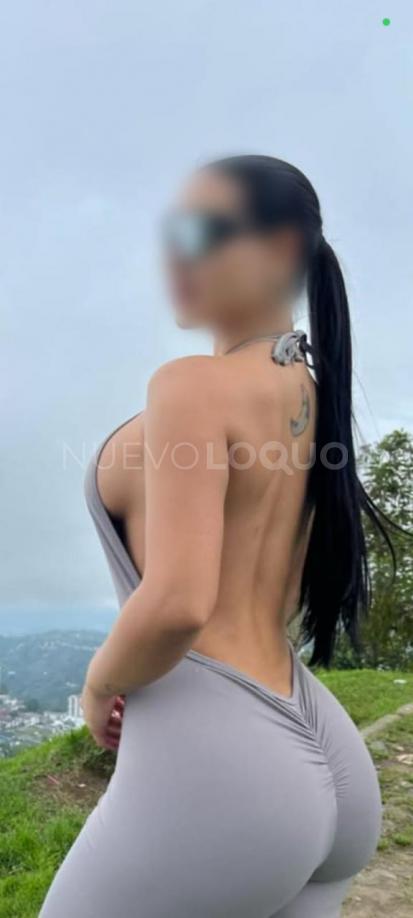  GIORGINA NOVEDAD ESPAÑOLA DISPONIBLE EN MADRID HRS