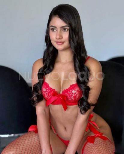 NuevoLoquo3