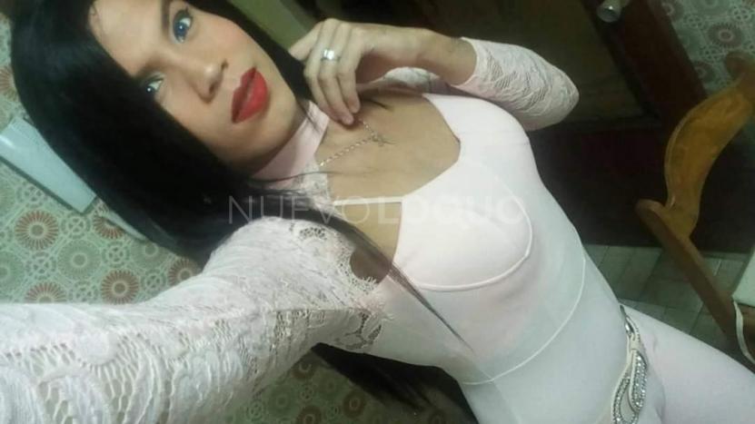  Novedad latina