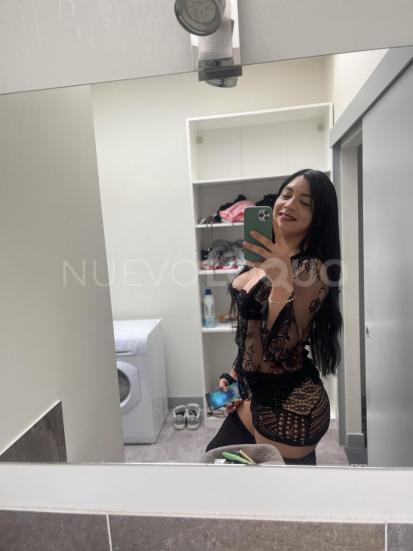 NuevoLoquo3