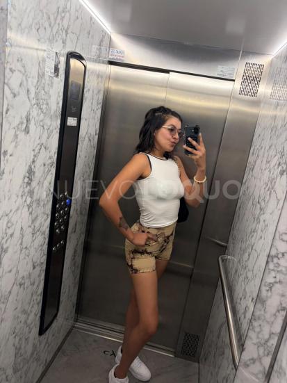 NuevoLoquo1