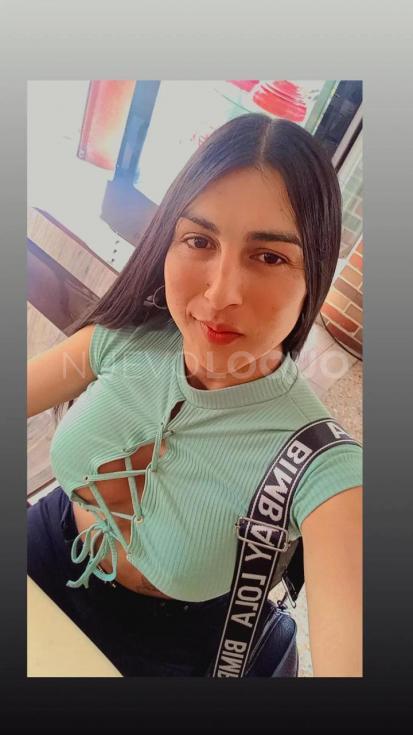 NuevoLoquo3
