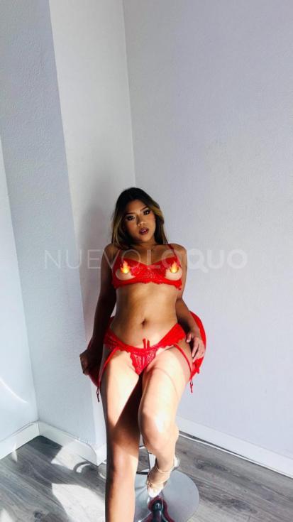 NuevoLoquo3