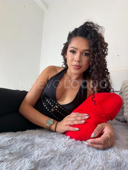 NuevoLoquo2