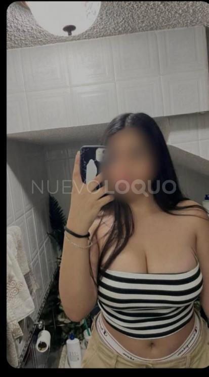 NuevoLoquo3