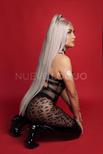NuevoLoquo3