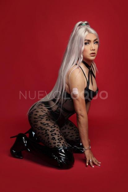 NuevoLoquo5