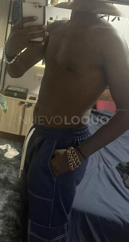 NuevoLoquo2