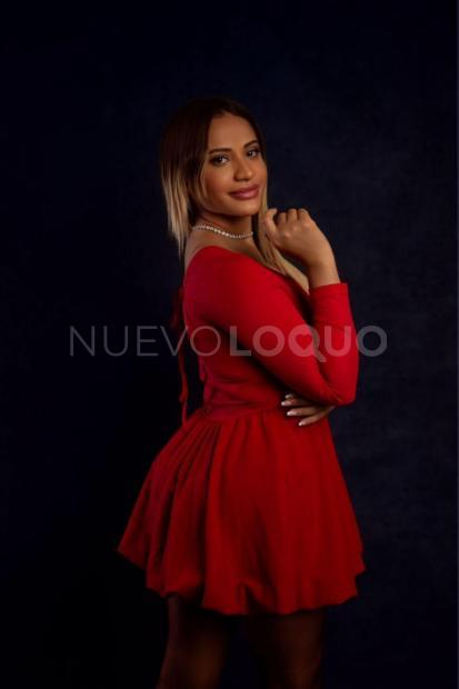 NuevoLoquo1