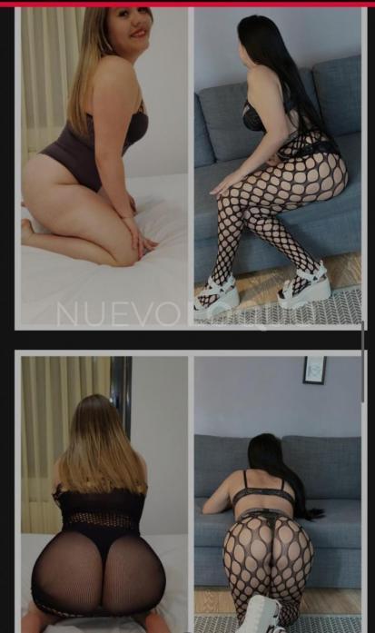 NuevoLoquo3