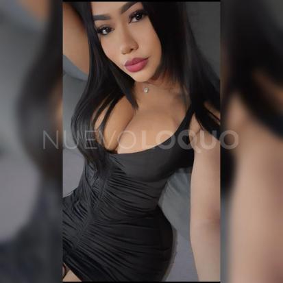NuevoLoquo2
