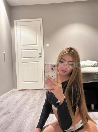 NuevoLoquo3