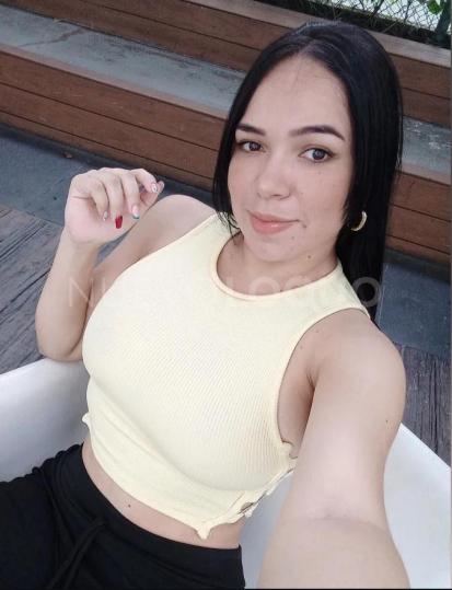 NuevoLoquo3