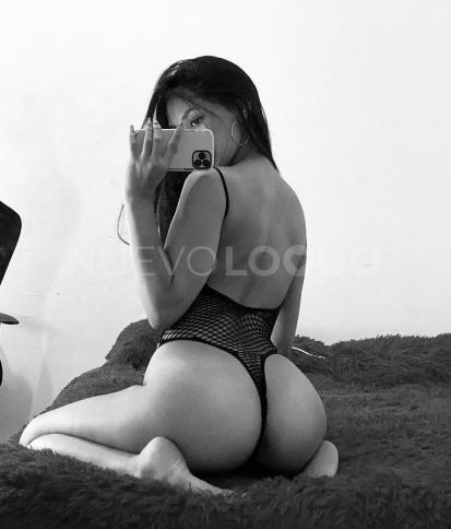 NuevoLoquo2