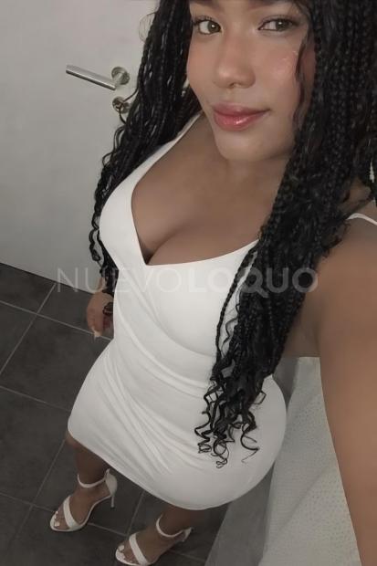 NuevoLoquo2