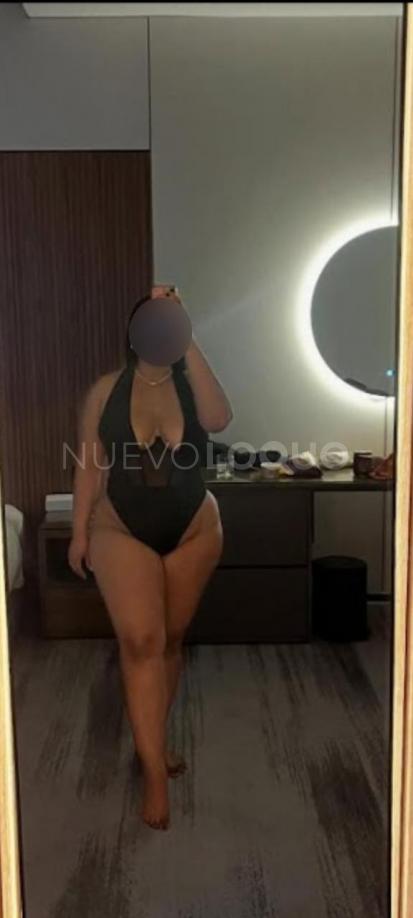 NuevoLoquo3