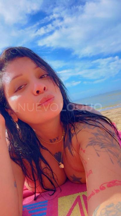 NuevoLoquo3
