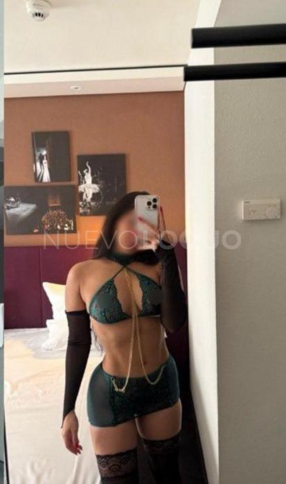 NuevoLoquo1