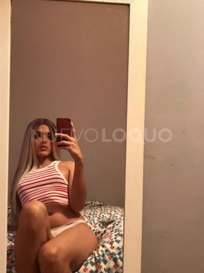 NuevoLoquo1